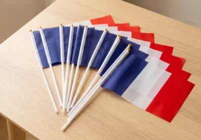Free ad: free ads علم فرنسا المحمول يدويًا - عبوة من 10 أعلام صغيرة 21x14 سم لأحداث الرياضة والمواكب - أفضل صفقة in Saudi Arabia. free ads علم فرنسا المحمول يدويًا - عبوة من 10 أعلام صغيرة 21x14 سم لأحداث الرياضة والمواكب - أفضل صفقة in Saudi Arabia