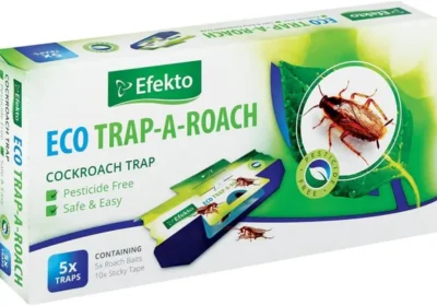 Free ad: free ads Efekto Eco Trap-A-Roach Best Deal in South Africa. free ads Efekto Eco Trap-A-Roach Best Deal in South Africa