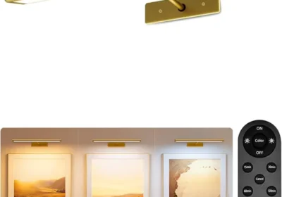 free ads EZVALO Picture Light 4800mAh Wireless LED Art Light with IR Remote Best Deal in Australia