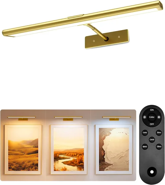 free ads EZVALO Picture Light 4800mAh Wireless LED Art Light with IR Remote Best Deal