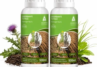 Free ad: free ads Gliphogan Top CL (2 x 500 ml) - Erbicida Potente a Glyphosate - Per Erbe, Annuali e Perenni - Sconto del 28% in Italy. free ads Gliphogan Top CL (2 x 500 ml) - Erbicida Potente a Glyphosate - Per Erbe, Annuali e Perenni - Sconto del 28% in Italy