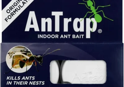 Free ad: free ads Protek Indoor Ant Bait Trap 10g - Best Deal in South Africa. free ads Protek Indoor Ant Bait Trap 10g - Best Deal in South Africa