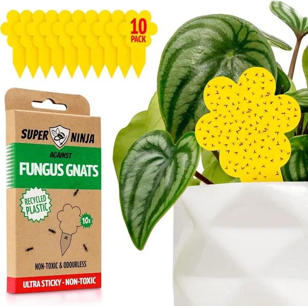 free ads Super Ninja Fungus Gnat Killer – 10 Pack Best Deal