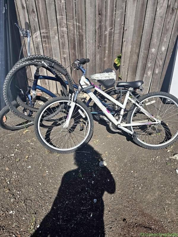 Free bikes