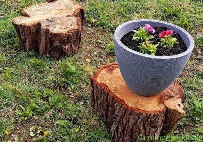Free ad: Garden decoration in Dublin. Garden decoration in Dublin