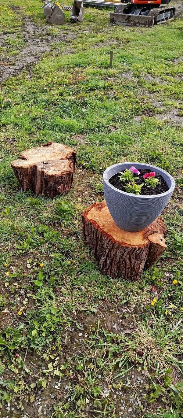 Garden decoration