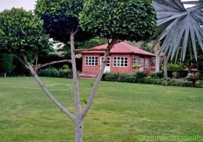 Garden in Delhi