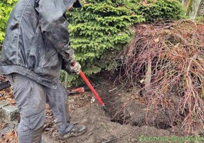 Free ad: Gardening in Vancouver. Gardening in Vancouver