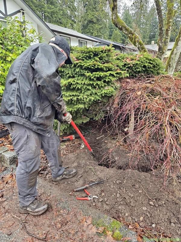 Gardening