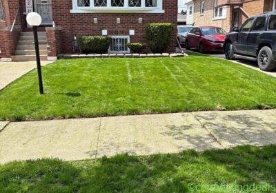 Landscaping in Chicago