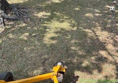 Landscaping in Miami