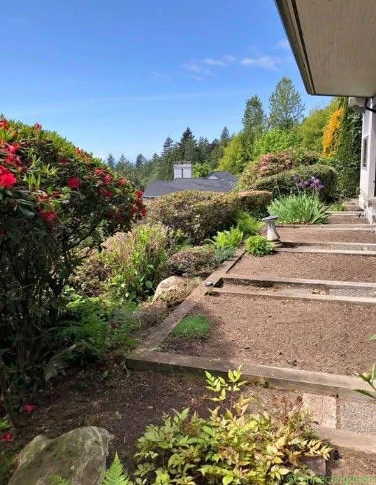 Landscaping service