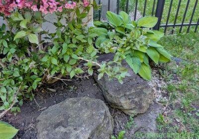 Large decorative stone / rocks for landscaping in Montreal