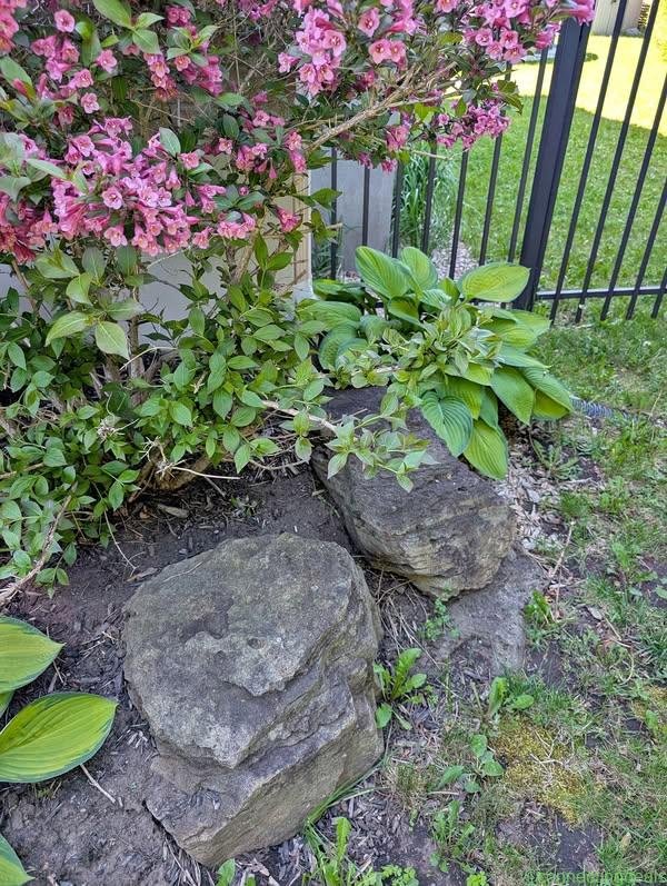 Large decorative stone / rocks for landscaping