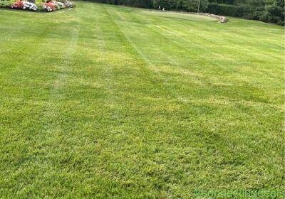 Lawn care, cleanup, mulching, and patios in Chicago
