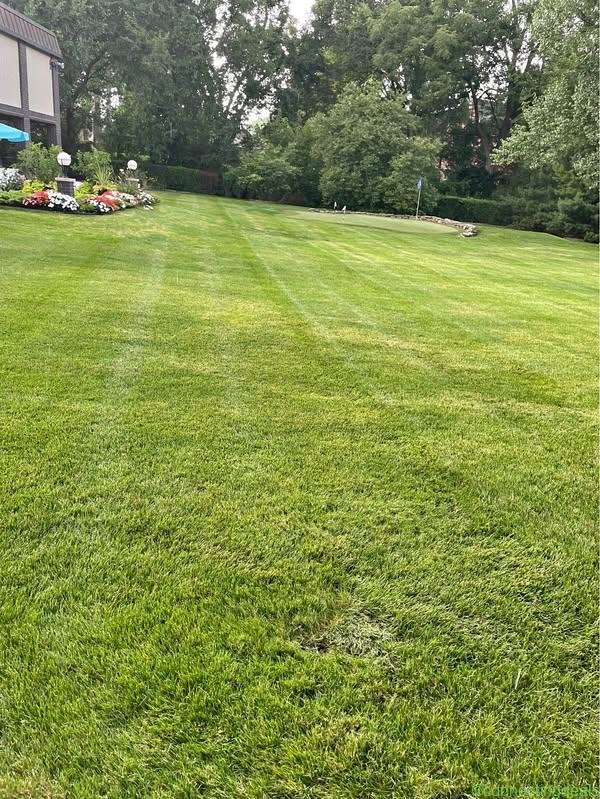 Lawn care, cleanup, mulching, and patios