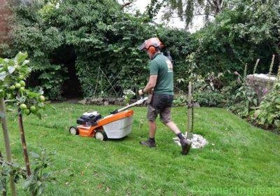 Free ad: Lawn garden in Liverpool. Lawn garden in Liverpool