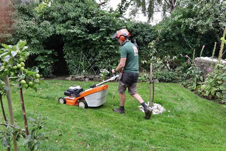 Lawn garden