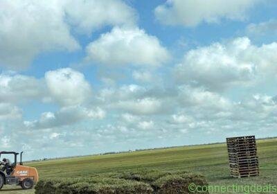 Free ad: Lawn mowing , sod installation ! in Houston. Lawn mowing , sod installation ! in Houston