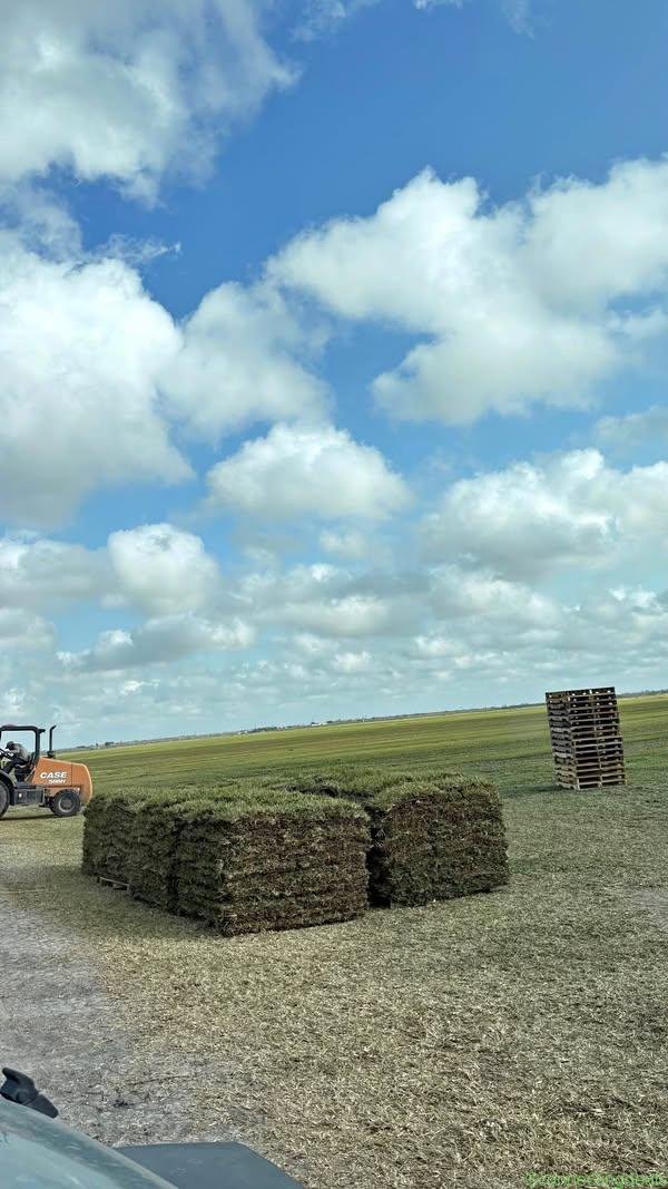 Lawn mowing , sod installation !