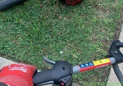 Lawn services available today in Houston