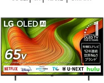LG 65インチ 4K有機ELテレビ OLED65B5PJA in Japan