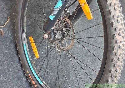 Lifelong Cycle in Delhi