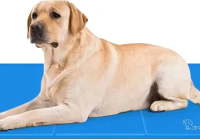 Free ad: Mat de refroidissement Pecute pour chiens et chats, L 90 x 50 cm, Refroidissement amélioré - Reste frais plus longtemps, Plus durable - Grattage in France. Mat de refroidissement Pecute pour chiens et chats, L 90 x 50 cm, Refroidissement amélioré - Reste frais plus longtemps, Plus durable - Grattage in France