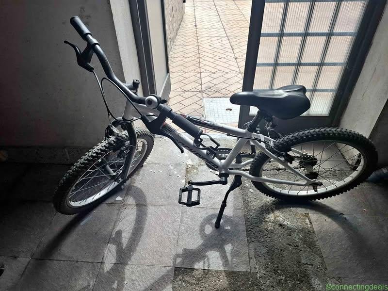 Mountain bike