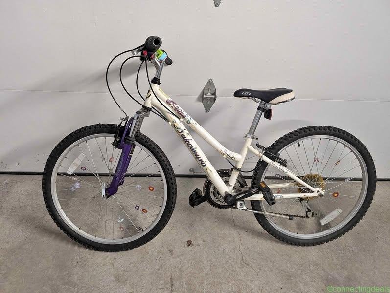 Nakamura Pristine Mountain Bike