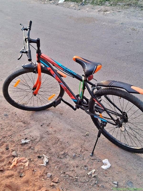 New+Cycle