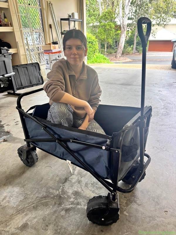One of these cart things