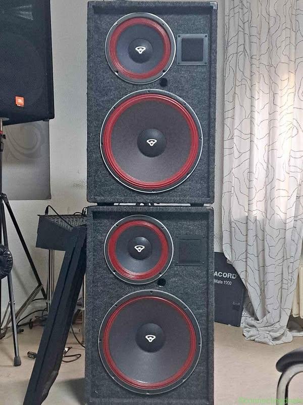 Pa lautsprecher Cerwin Vega Mav-15B