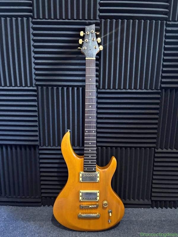 Pearl River Electric Guitar