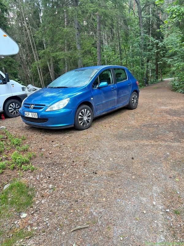Peugeot 307