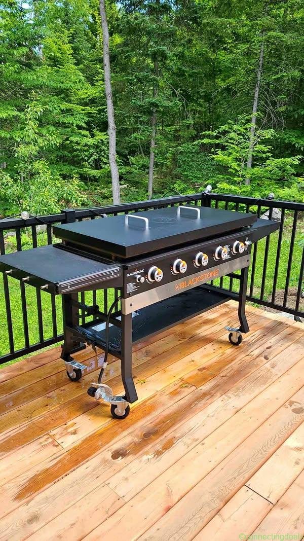 Plancha 44×22 pouces