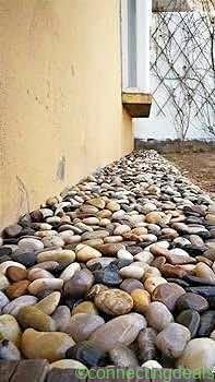 Premium Natural River Pebble Stones (70–120 mm)