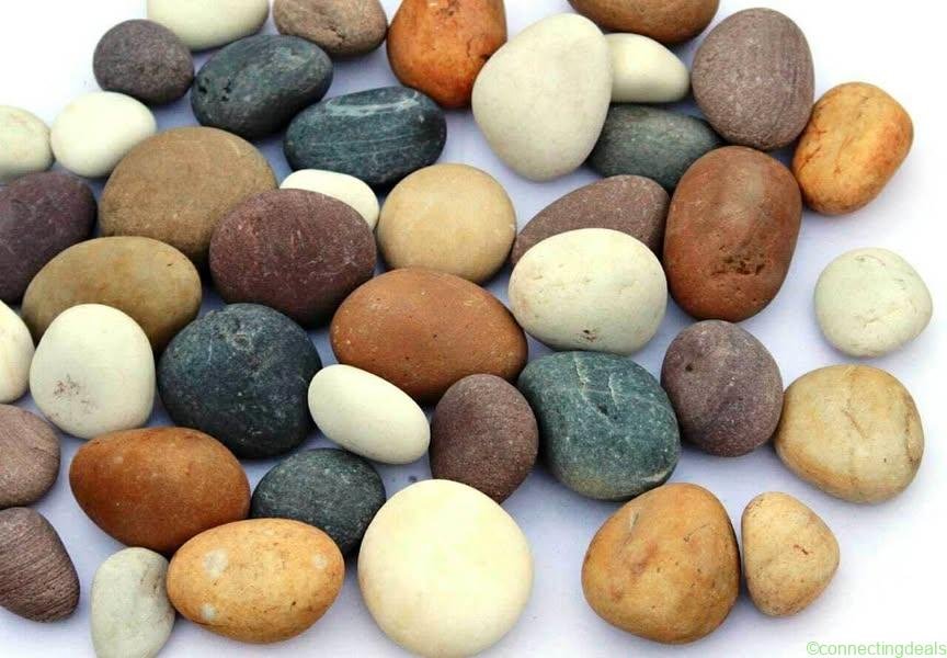 Premium Natural River Pebble Stones (70–120 mm) |