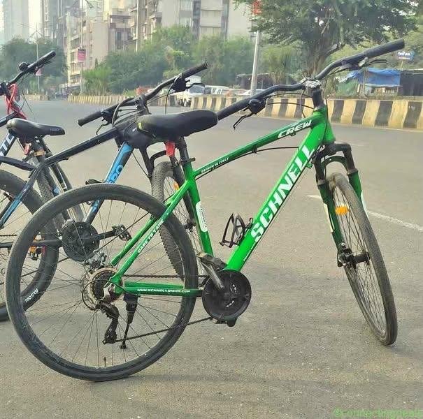 Schenell cycle 21 gear