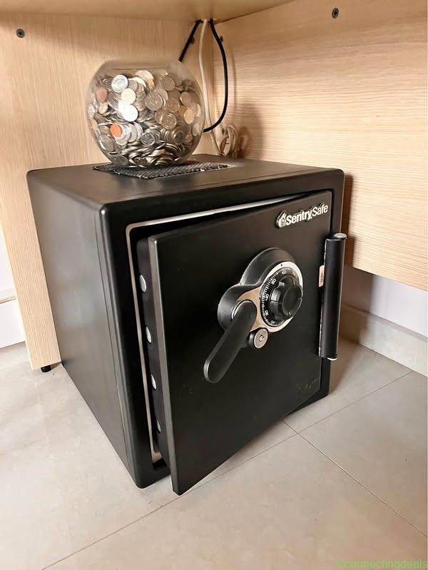 Sentrysafe Fireproof safe