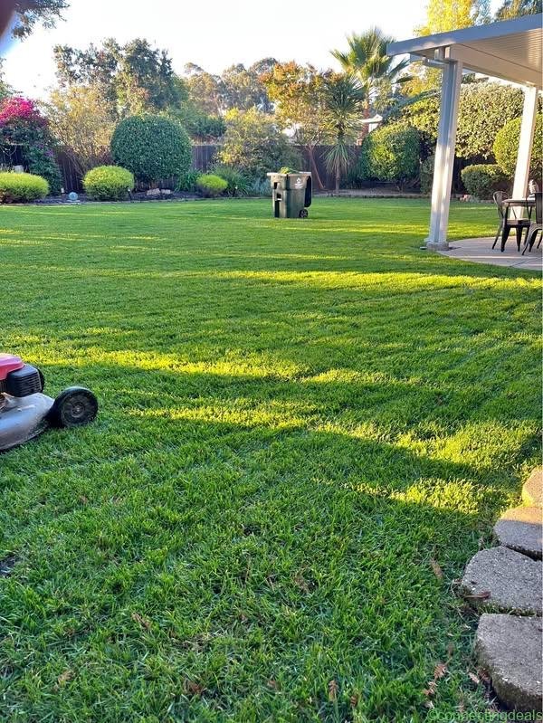 Service Gardening and mantenance cut trees Clea
