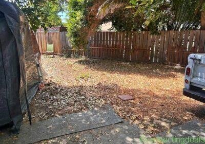 Summer parking space in Los Angeles