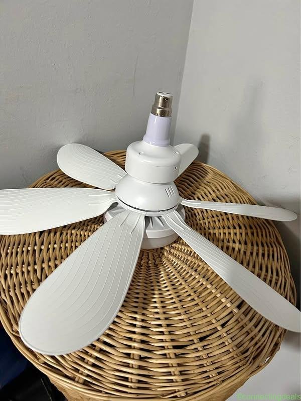 TikTok fan (pending collection)