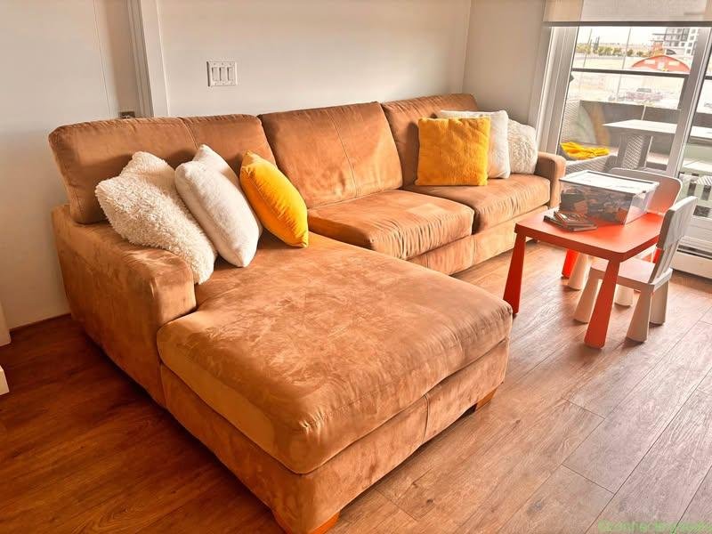 TV Sofa
