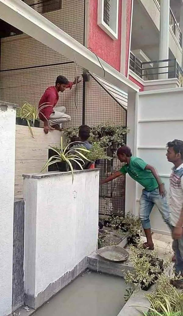 Vertical gardens