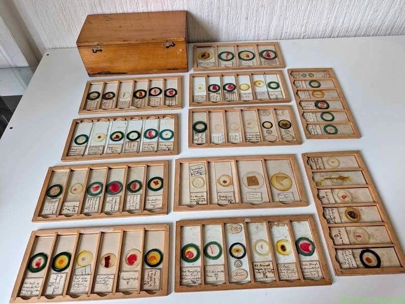 Vintage 1930’s Set of 50+ Doctors Medical