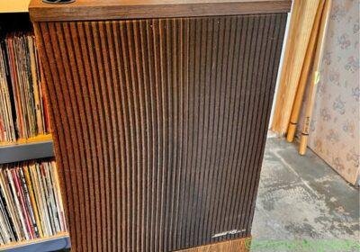 Vintage Bose 501 Series II Direct/Reflecting in New York