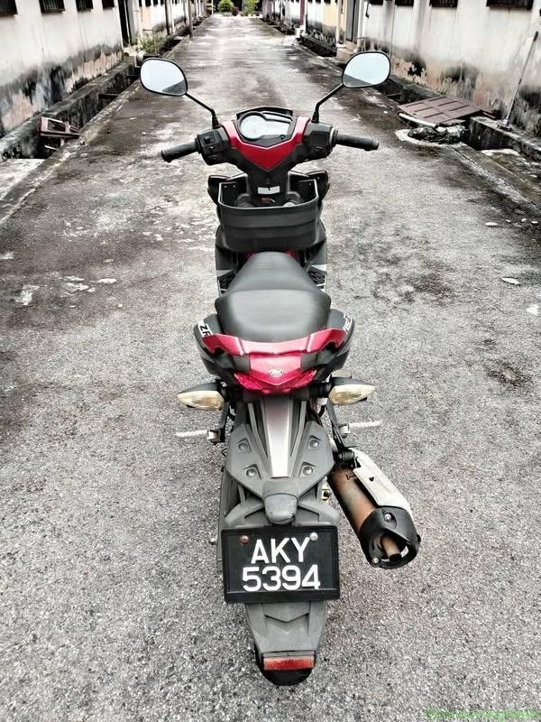 Y15 standart