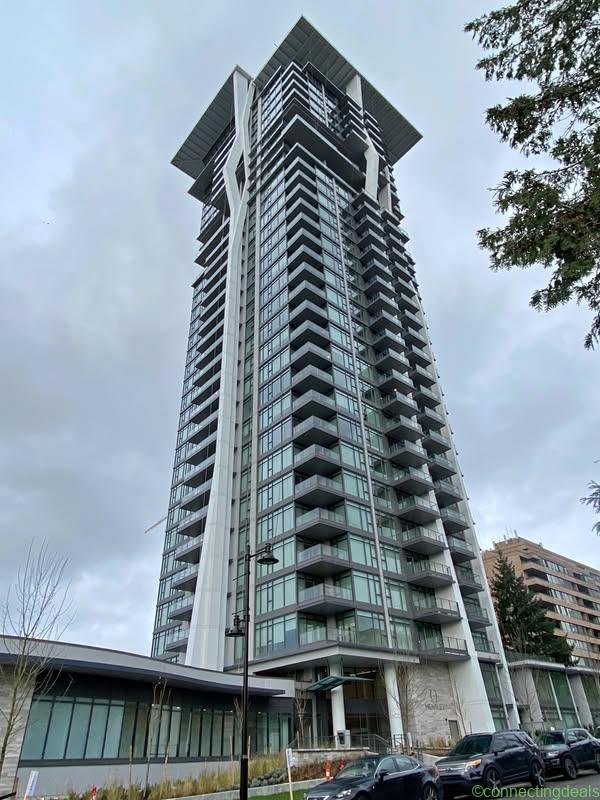 1 Bed 1 Bath Apartment