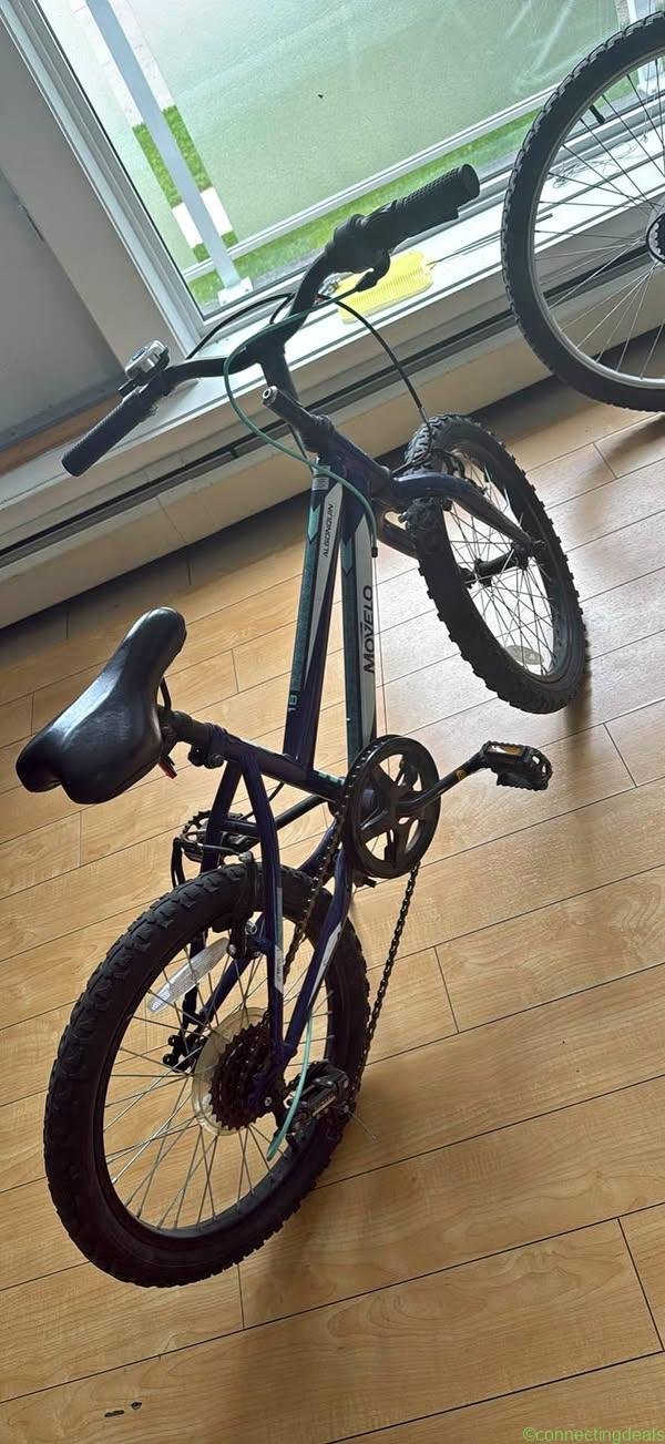 18”-Speed Mountain Bike